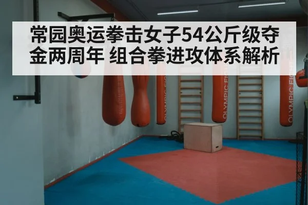 常园奥运拳击女子54公斤级夺金两周年 组合拳进攻体系解析