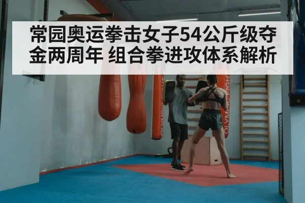 boxer combination punches