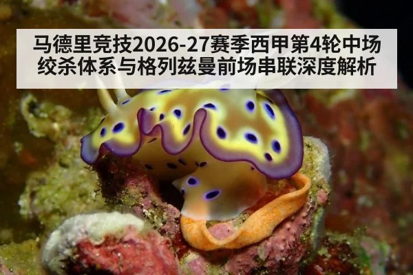 马德里竞技2026-27赛季西甲第4轮中场绞杀体系与格列兹曼前场串联深度解析